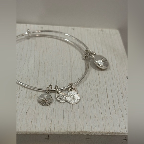 Alex & Ani November Birthstone Charm Bangle, Topaz - Picture 6 of 6